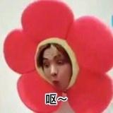 苍苔哒