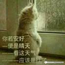 书友56388