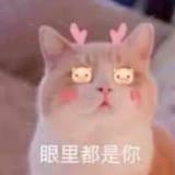 书友10883