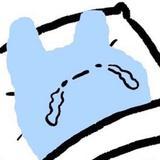 Memory爱丽丝鸢