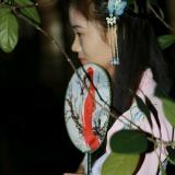 叶落知阳花残花