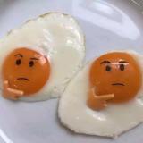 顾南言北
