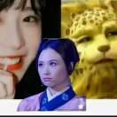 书友66405