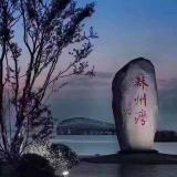 百林鸟