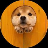 。。
