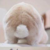 书友42553