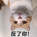 97年空巢老人?