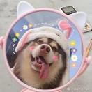 安安安安安小静