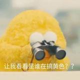 核桃苏