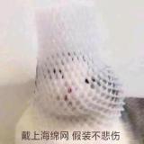 啊烦死想不出名字了