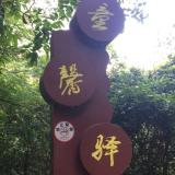 流年似水