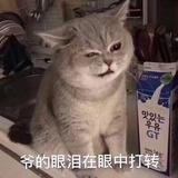 伊人淡妆