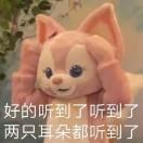 书友06163
