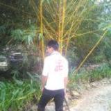 YouAreMyPasser