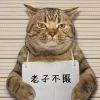 书友03360