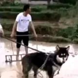 美颜辣眼
