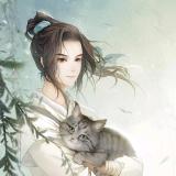 娱人愚己。