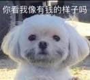 书友90143