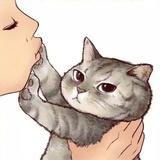 种猫得猫