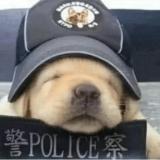 闲的无聊