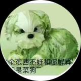 书友32677