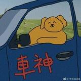 畅游洱海