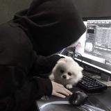 书友11691