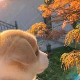 花生米可不能吃