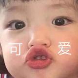 书友65368