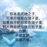 日小剑君