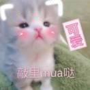 莱昂纳凯