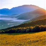 花开半夏微凉吖