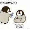书友21604