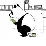 许庆华