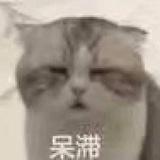 橙子Q苏