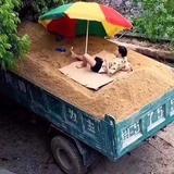 喵大爷