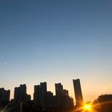 须绿须绿的小青