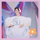 毛绒绒的小狐狸