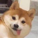 逮到一只