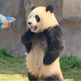 全能时待