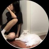 代言人的老婆