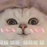 喵瞄渺妙