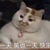 别看我浏览器