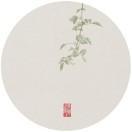 书友25469
