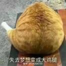 书友27317