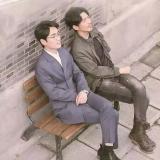 辣鸡系统吃枣药丸