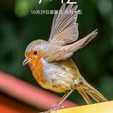 梦见未来大本营