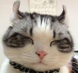 是linlin啊