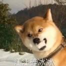 宓稚子
