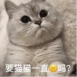 从5楼腾飞